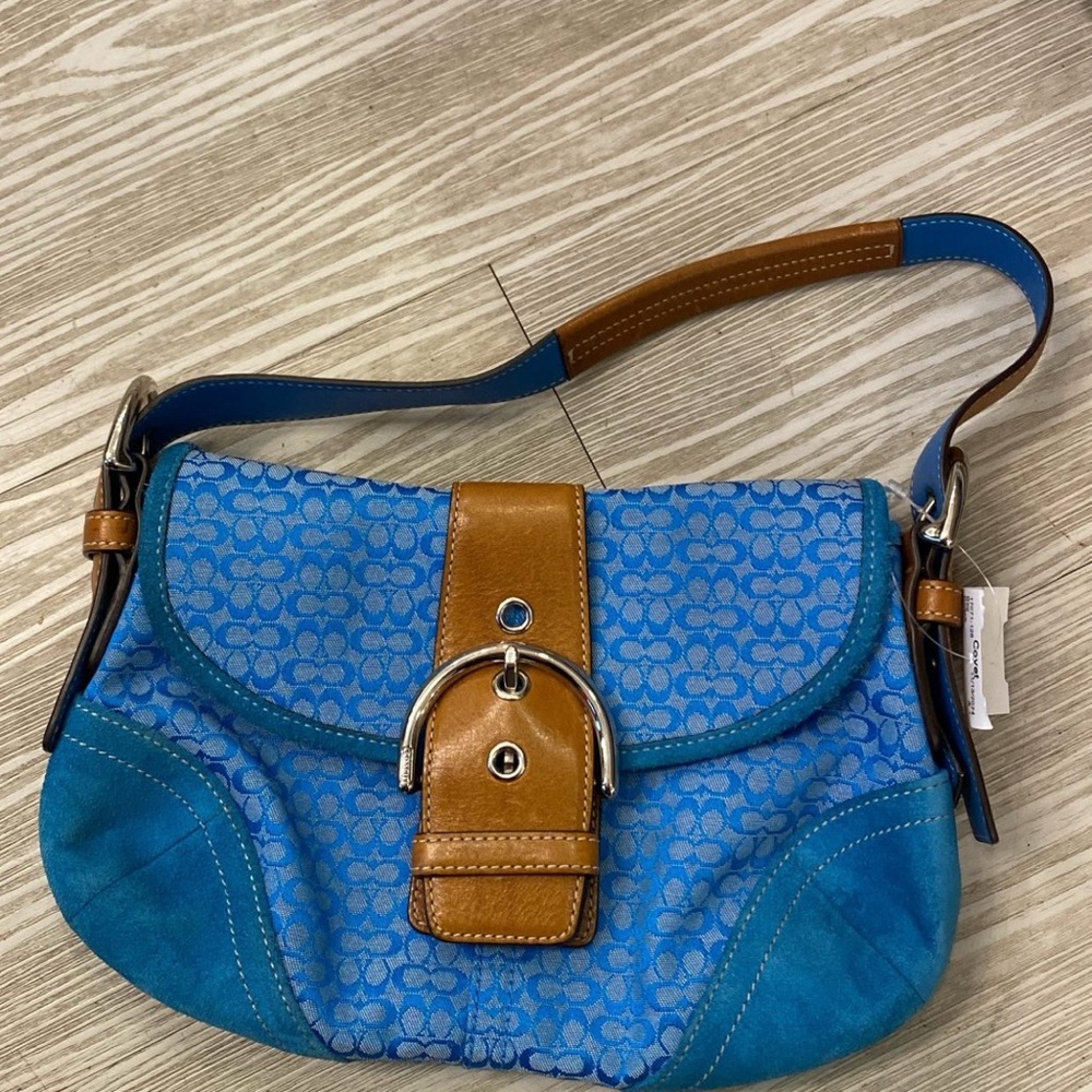 Blue and Brown Women's Bag